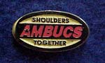 AMBUCS Membership Pin